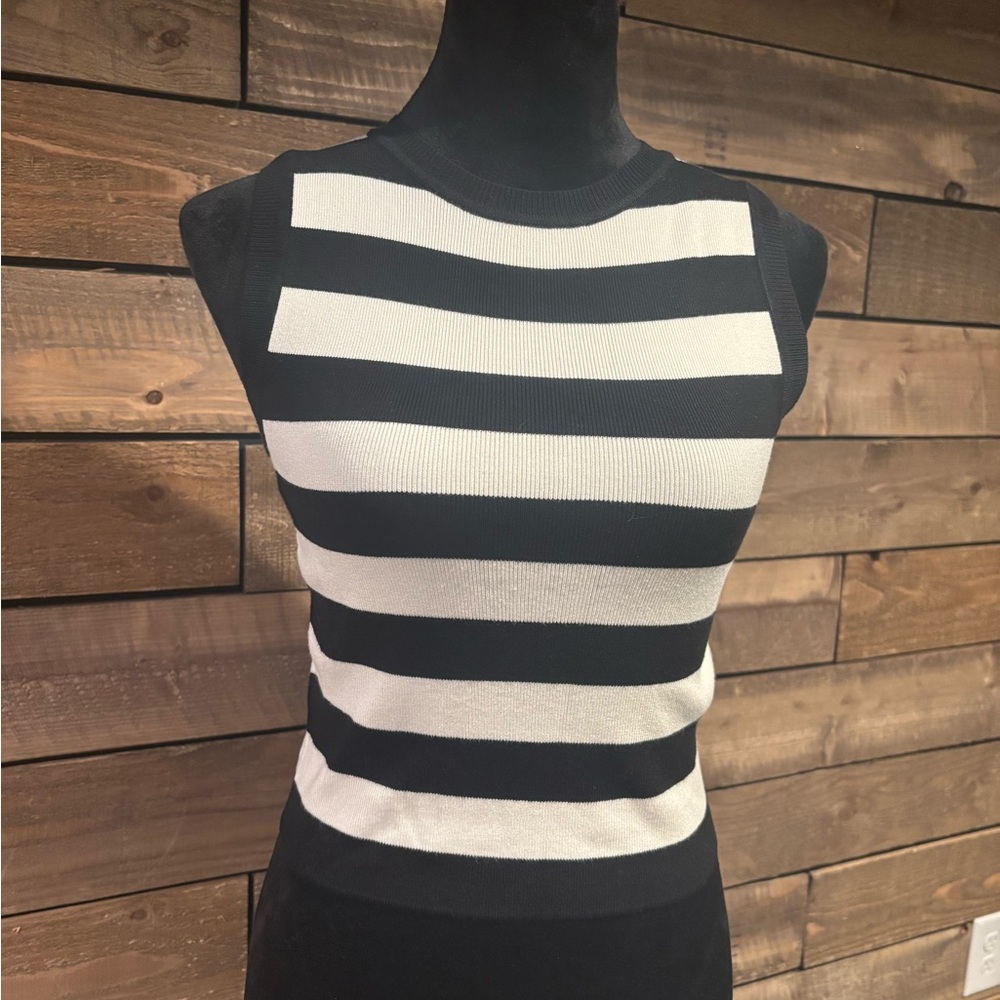 Blu Ivy Monochrome Striped Crop Tank Top